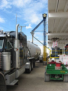 beans vertical conveyor